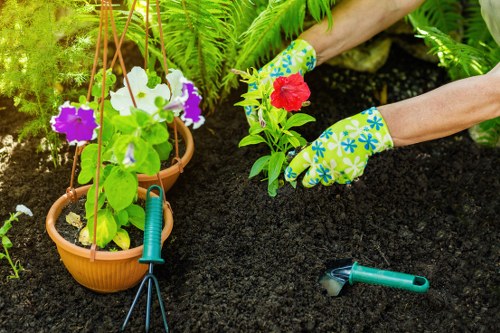 Security tips for online gardening payments