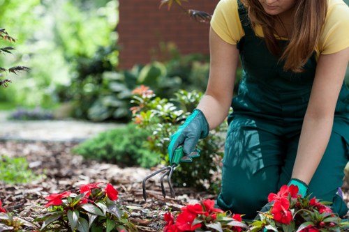Gardener with protective gloves assessing a lawn in Golders Green