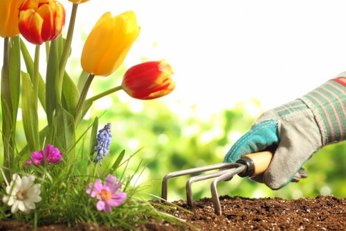 Eco-friendly garden waste disposal process in Golders Green