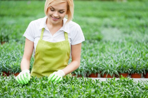 A young woman with short blonde hair, wearing a white shirt, a lime green apron, and matching gardening gloves, is tending to a well-maintained garden in an outdoor space. The garden features a lush, dense green lawn in the foreground, bordered by a row of small potted plants or seedlings with dark soil. Behind her, there are larger shrubs or small trees with green foliage, and the background shows additional garden areas with similar plantings. The environment appears bright and sunny, with natural daylight enhancing the vibrant green tones of the plants and grass. The scene suggests active garden maintenance or planting, with the woman engaged in care tasks, fitting into the context of professional gardening and landscaping services in Golders Green, London, highlighting outdoor yard and garden upkeep, including lawn and plant care, typical of services offered by Gardening Services Golders Green.