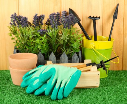 The image displays a neatly arranged gardening setup on an outdoor surface, with a backdrop of a wooden fence. In the foreground, there are two terracotta plant pots positioned side by side, with no visible plants inside. Behind these, a modern rectangular wooden tray holds a pair of bright teal gardening gloves, which are placed on top of a set of small hand tools, including a trowel and a cultivator, lying on the tray. To the right, a lime-green plastic bucket contains various gardening tools such as a hand rake, a trowel, and a transplanter, all with black handles. In the background, there is a collection of potted lavender plants with purple flowers and green foliage, arranged in a black plastic container. The overall scene suggests preparation for garden planting or maintenance, typical of outdoor gardening tasks carried out in residential gardens or communal outdoor spaces in Golders Green, supporting professional gardening services focused on plant care and outdoor maintenance.